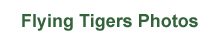 tigers_menu.jpg